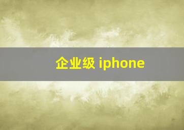 企业级 iphone